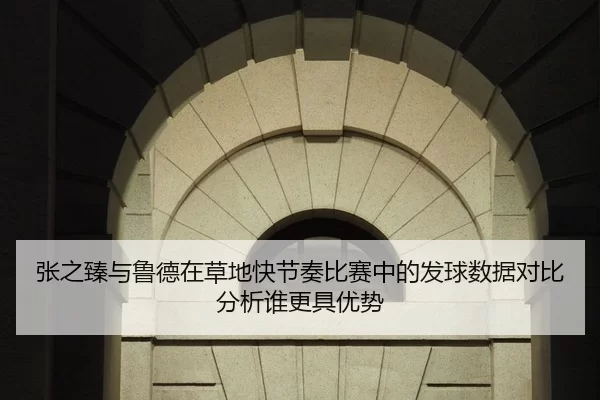 张之臻与鲁德在草地快节奏比赛中的发球数据对比分析谁更具优势