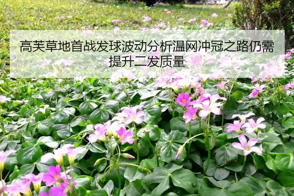 高芙草地首战发球波动分析温网冲冠之路仍需提升二发质量