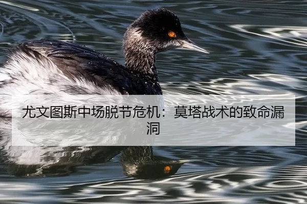 you-wen-tu-si-zhong-chang-tuo-jie-wei-ji-mo-ta-zhan-shu-de-zhi-ming-lou-dong-3-413.jpg