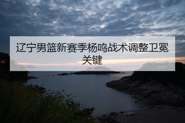 liao-ning-nan-lan-xin-sai-ji-yang-ming-zhan-shu-tiao-zheng-wei-mian-guan-jian-2-617.jpg
