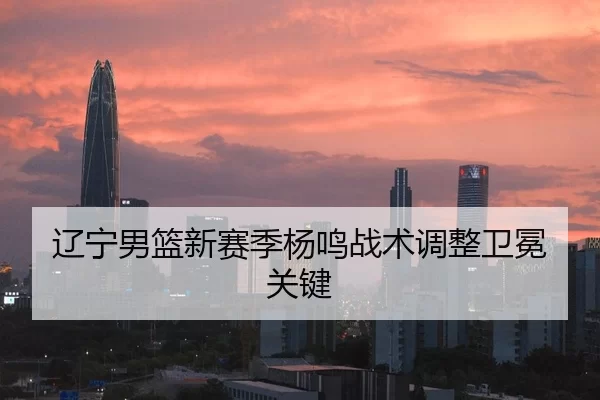 辽宁男篮新赛季杨鸣战术调整卫冕关键